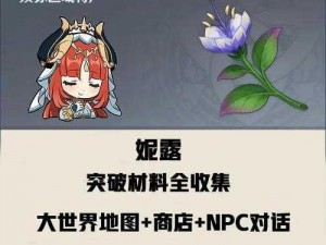 原神帕蒂沙兰详细位置及获取攻略：探索帕蒂沙兰的所在与采集方法