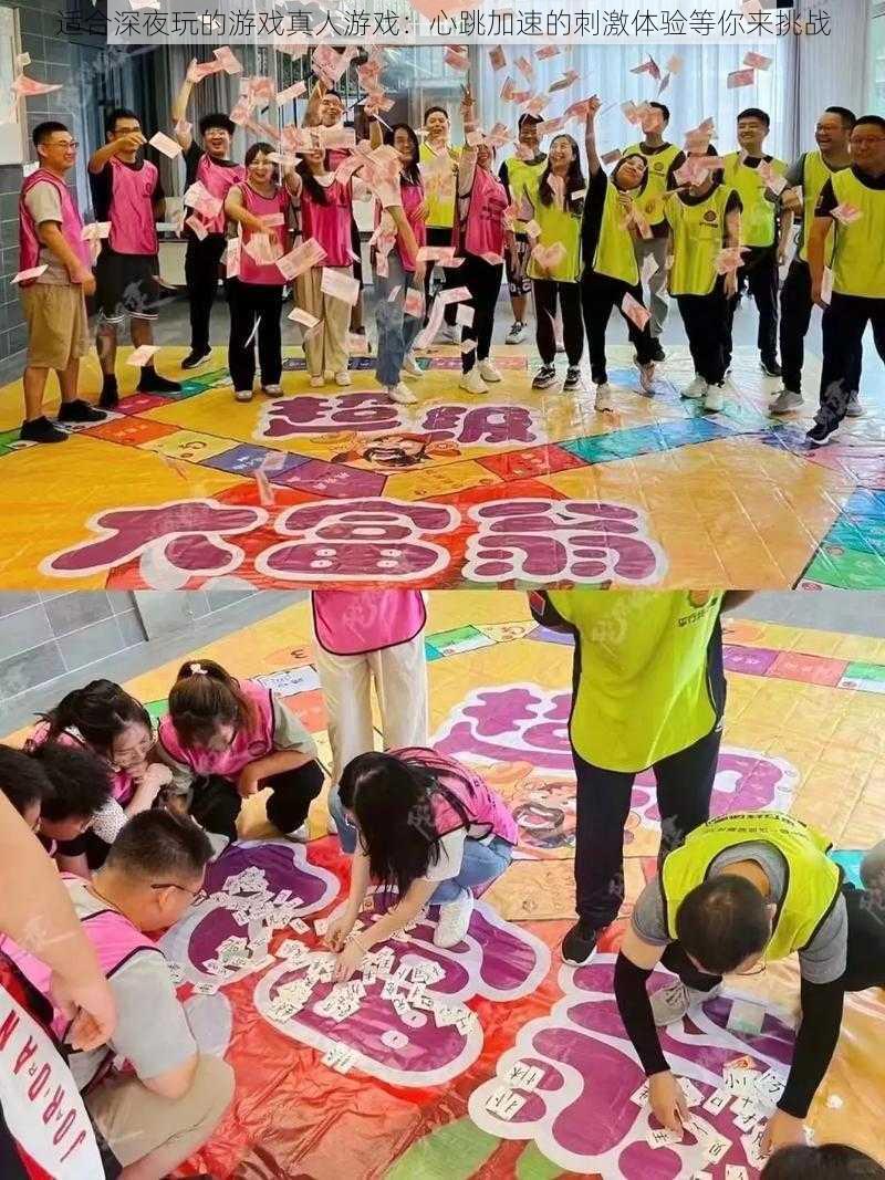 适合深夜玩的游戏真人游戏:心跳加速的刺激体验等你来挑战