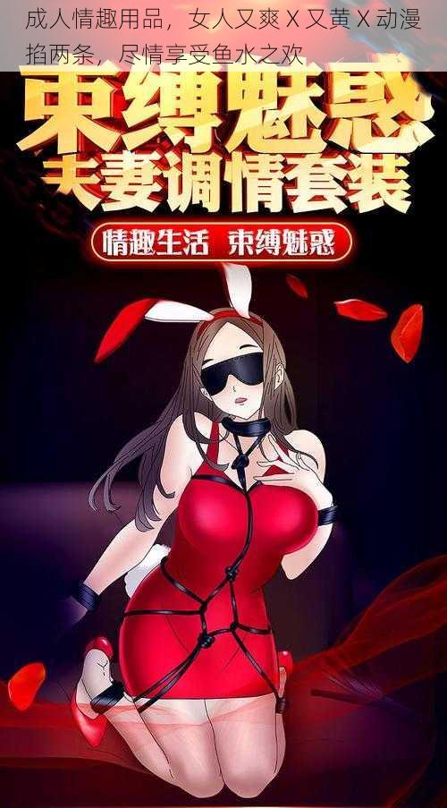 成人情趣用品,女人又爽 X 又黄 X 动漫掐两条,尽情享受鱼水之欢