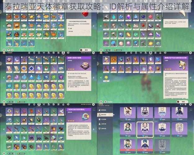 泰拉瑞亚天体徽章获取攻略:ID解析与属性介绍详解