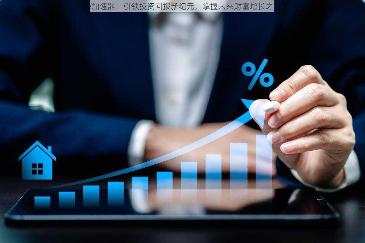 NPV加速器:引领投资回报新纪元,掌握未来财富增长之密钥