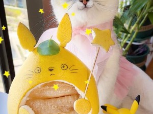 柚子猫_可爱的柚子猫，你喜欢吃什么呢？