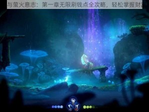 《精灵与萤火意志：第一章无限刷钱点全攻略，轻松掌握财富秘诀》