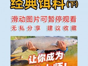 钓锦鲤最佳鱼饵揭秘：精选配方成就钓鱼高手之路