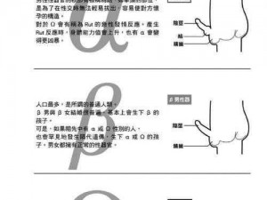 膀胱海绵控制改造野兔的锁骨-如何通过膀胱海绵控制改造野兔的锁骨？