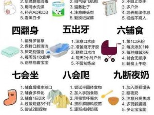 一小时人生夏娃计划攻略全解析：时间规划、任务攻略与成长指南