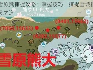 雪原熊捕捉攻略：掌握技巧，捕捉雪域精灵之道