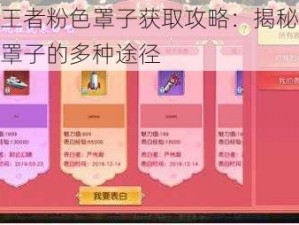 乱世王者粉色罩子获取攻略：揭秘获得粉色罩子的多种途径