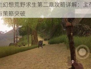 双生幻想荒野求生第二章攻略详解：生存挑战与策略突破