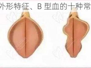 十种b型的外形特征、B 型血的十种常见外形特征