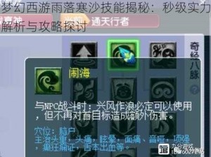 梦幻西游雨落寒沙技能揭秘：秒级实力解析与攻略探讨