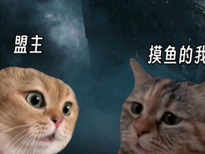 夏日欢乐猫舞：猫之城夏日摸鱼大赛活动全攻略指南