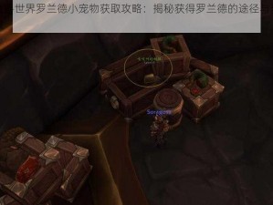 魔兽世界罗兰德小宠物获取攻略：揭秘获得罗兰德的途径与步骤