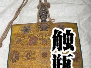 西藏肉莲花法器图片(西藏肉莲花法器是什么？有图片吗？)