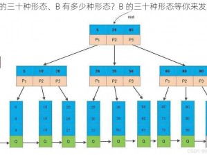 B的三十种形态、B 有多少种形态？B 的三十种形态等你来发现