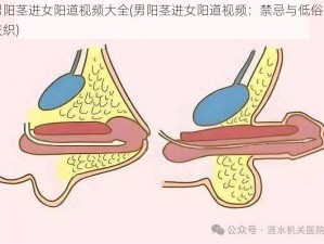 男阳茎进女阳道视频大全(男阳茎进女阳道视频：禁忌与低俗的交织)