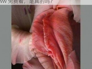 实拍女处破www免费看、实拍女处破，www 免费看，是真的吗？