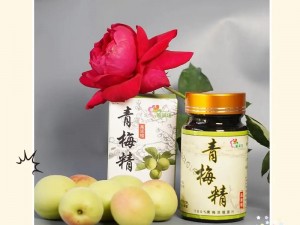 含精入睡H青梅医生(含精入睡：青梅医生的秘密治疗)