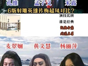 射雕英雄传手游梅超风豪杰录攻略：实战打法技巧深度解析与攻略指南