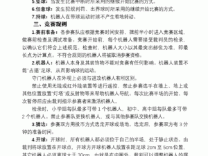 关于反弹冲刺电脑版下载地址及安装的详细指南