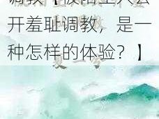 被陌生人公开羞耻调教【被陌生人公开羞耻调教，是一种怎样的体验？】