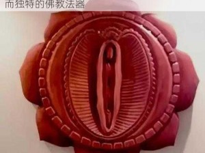 佛教肉莲实物图片_佛教肉莲实物图片：神秘而独特的佛教法器