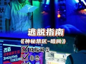 无欲网,探究无欲网背后的神秘世界