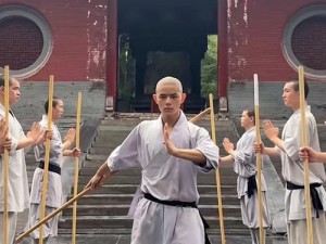 霸道天下少林寺方丈绝世武技揭秘：深度解析躲避攻略之实战心法