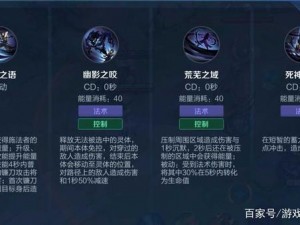 乱世王者司马懿技能学习攻略：如何优化技能选择，成为真正的王者领袖？