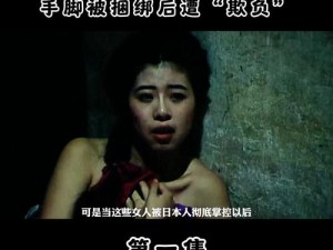 公侵犯美丽人妻HD,公侵犯美丽人妻 HD：家庭伦理的崩塌