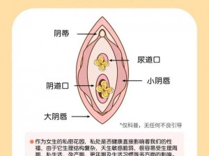 女的下面同时放两根进去【女子私密部位同时放入两根异物会对身体造成伤害吗？】