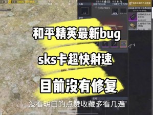 和平精英最新漏洞揭秘：探究最新卡bug现象及其影响分析