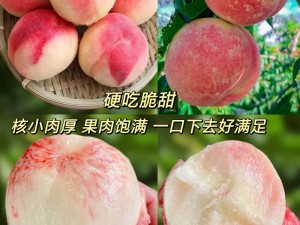 广州水蜜桃文化传播有限公司电话、广州水蜜桃文化传播有限公司的联系电话是多少？