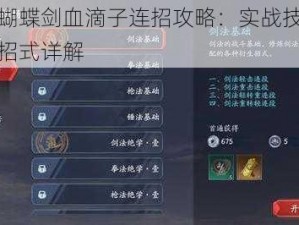 流星蝴蝶剑血滴子连招攻略：实战技巧与组合招式详解