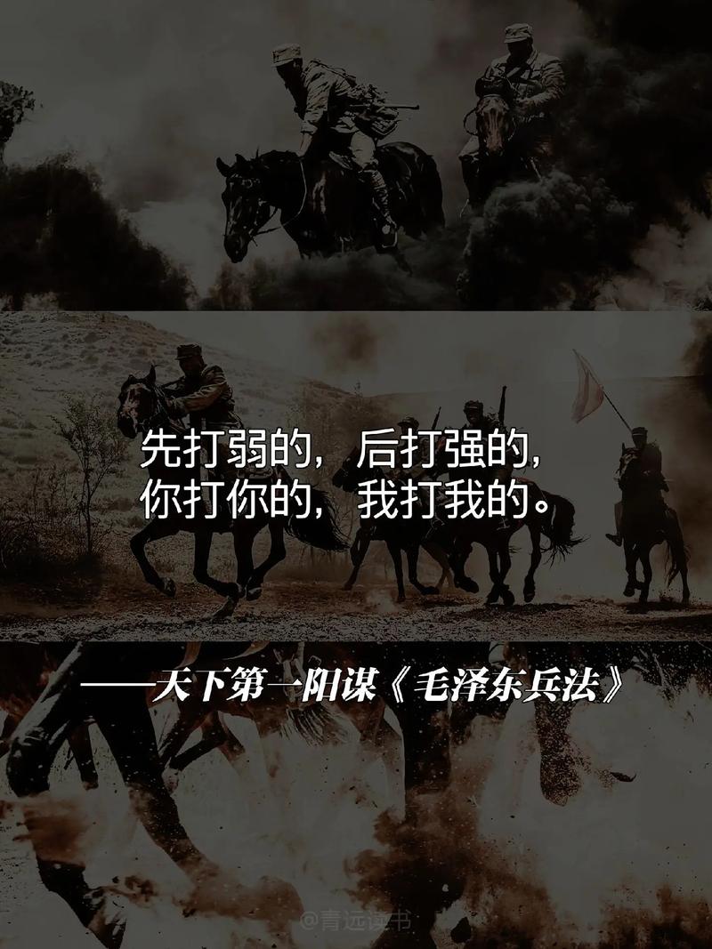 火猫机先:智勇双全的克敌之道