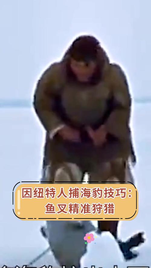 精英5:防御工事瘫痪攻略——精准技巧大揭秘