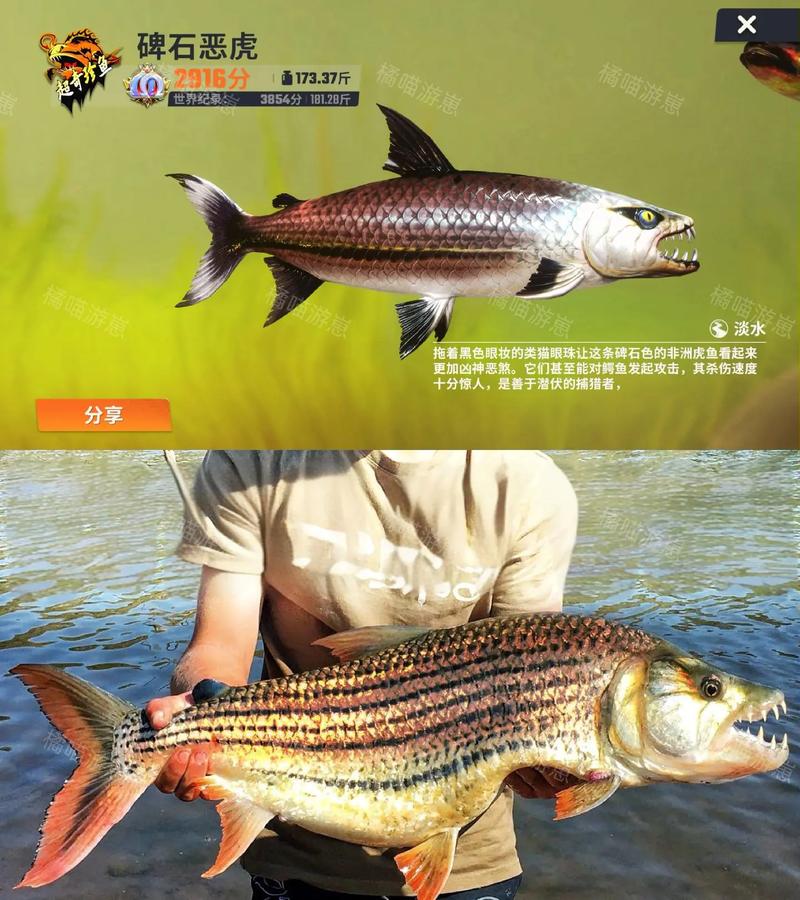 欢乐钓鱼大师:深渊幽鲶钓取技巧介绍