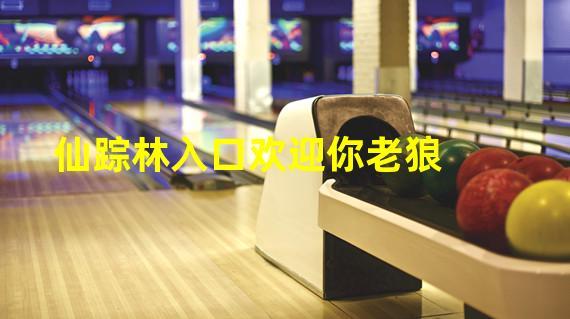 2021 仙踪林网站入口欢迎您,全新视觉体验,感受自然之美