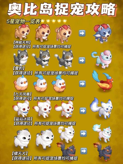 独特魅力宠物宝宝获取攻略:掌握多种强力宠物培育方法与途径