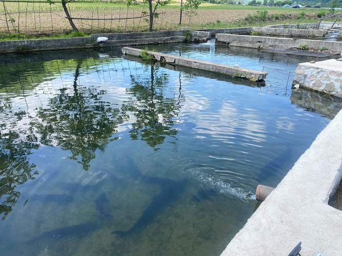 究极数码进化经验结晶获取途径全面解析:路径详解与实际操作指南