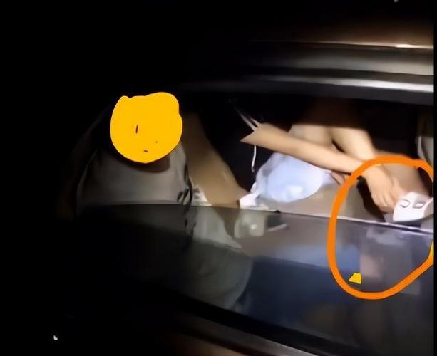 公交车激情做爰 H:刺激与私密的完美结合