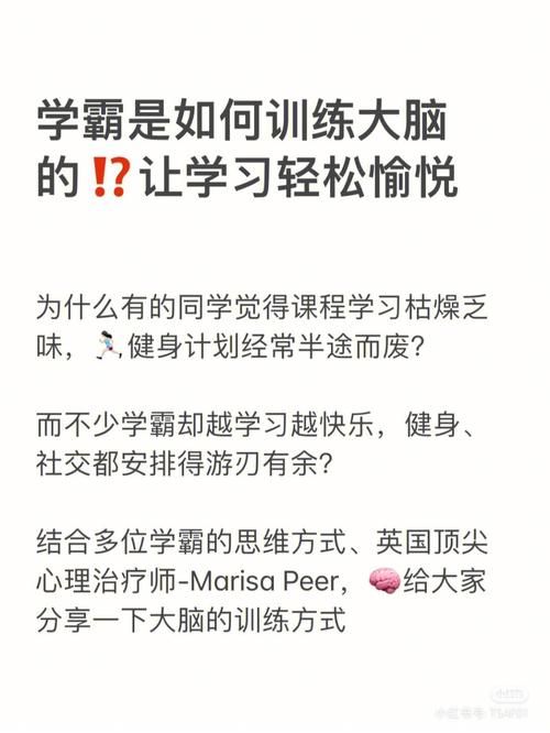 pali02 轻量版,让学习更轻松