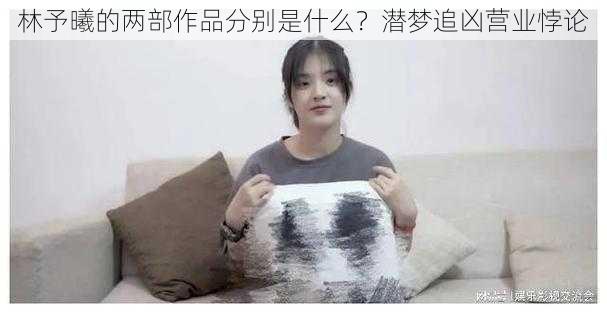林予曦的两部作品分别是什么?潜梦追凶营业悖论