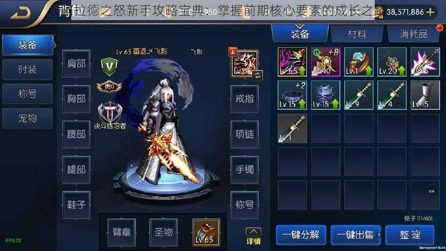 阿拉德之怒新手攻略宝典:掌握前期核心要素的成长之路