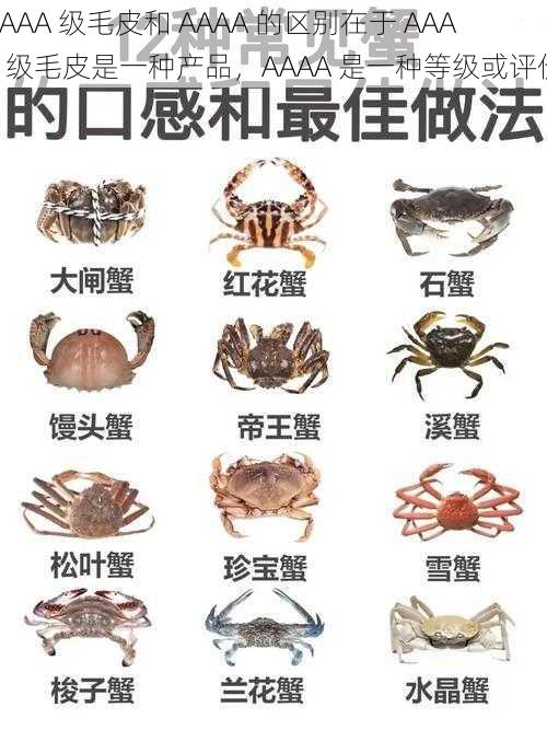 AAAA 级毛皮和 AAAA 的区别在于 AAAA 级毛皮是一种产品,AAAA 是一种等级或评价
