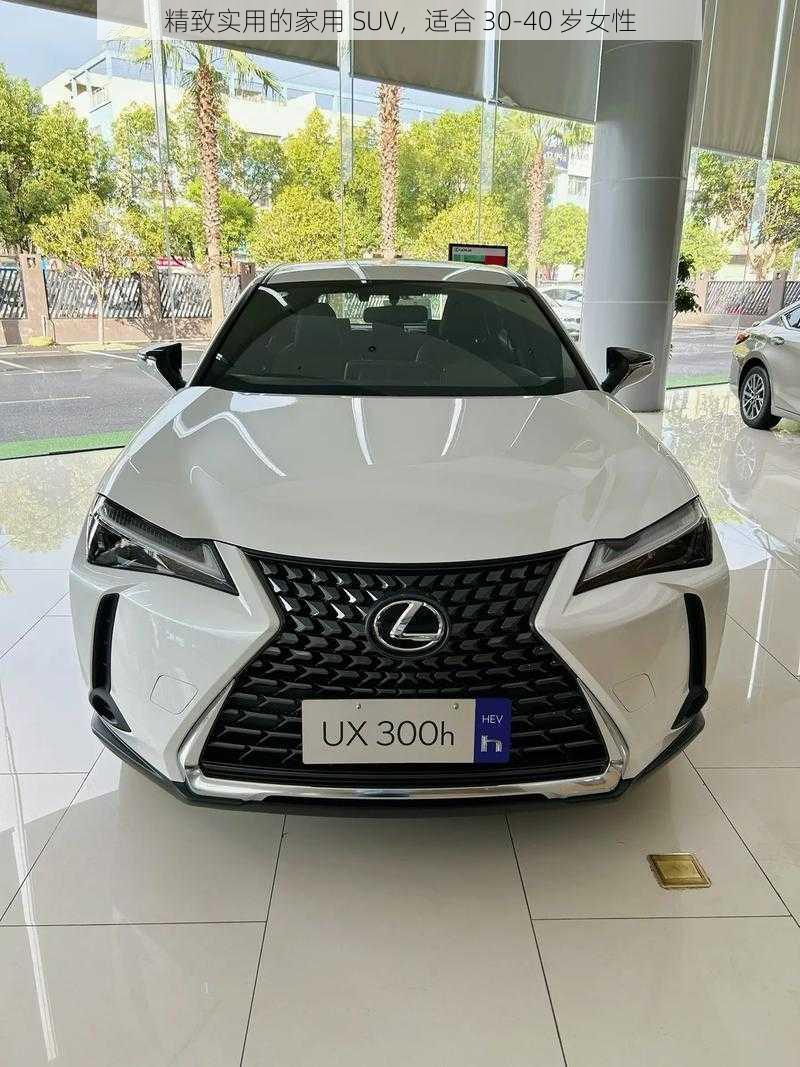 精致实用的家用 SUV,适合 30-40 岁女性