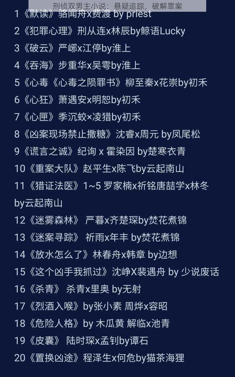刑侦双男主小说:悬疑追踪,破解罪案