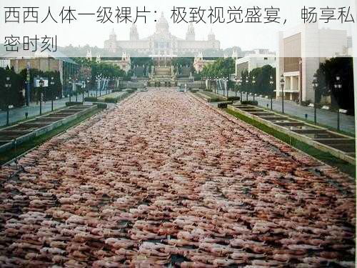 西西人体一级裸片:极致视觉盛宴,畅享私密时刻