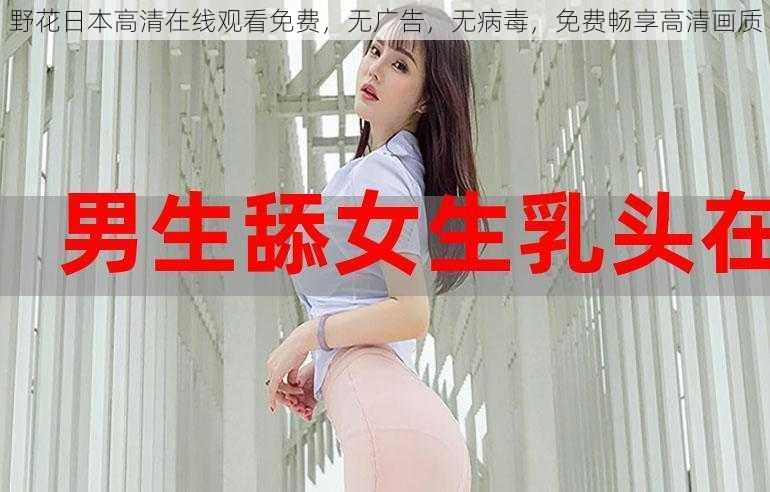 野花日本高清在线观看免费,无广告,无病毒,免费畅享高清画质