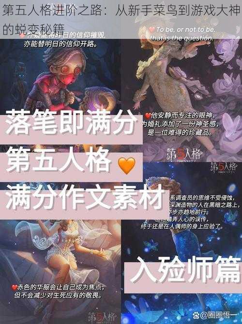 第五人格进阶之路:从新手菜鸟到游戏大神的蜕变秘籍